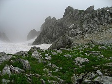 �e�q�O�H�c