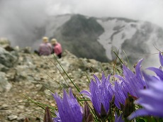 �^�J�l�c���N�T