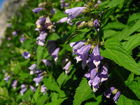 �~�\�K���\�E