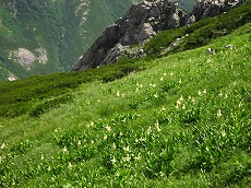 �����΂��A�A