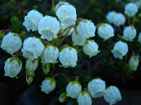 �R�c�K�U�N��