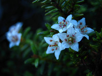 �~�l�Y�I�E