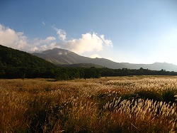 �i��_���j