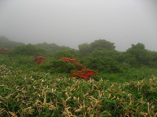 �A�J�X�M�I