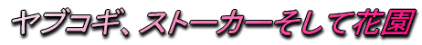 ヤブコギ、ストーカーそして花園